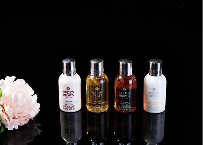 The Plaza Seoul, Autograph Collection 5*